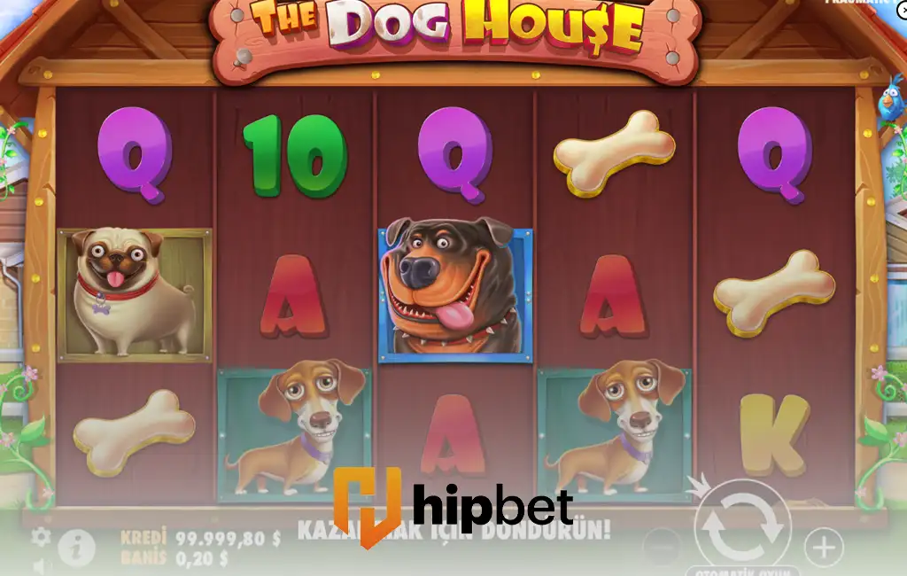 Hipbet the dog house oyunu